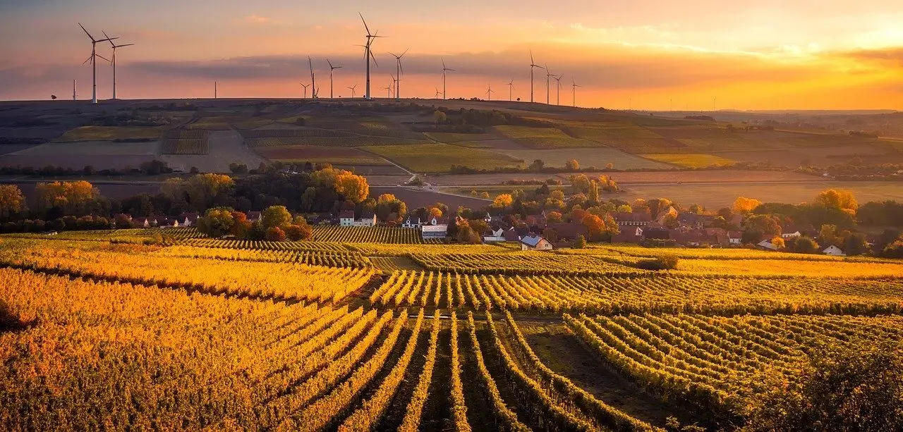 Sustainable Finance Disclosure Regulation (SFDR)