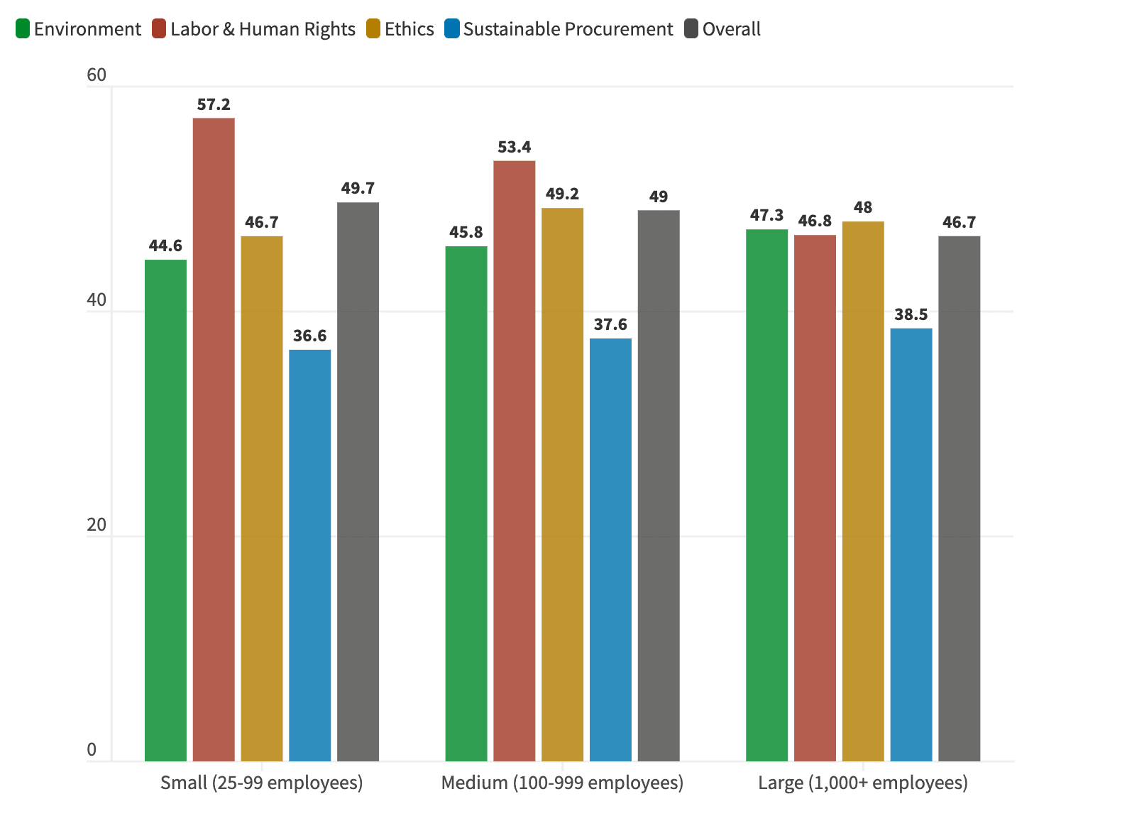 Average scoring for small, medium and large-sized companies in the US in 2023 overall and across all EcoVadis assessment themes 
